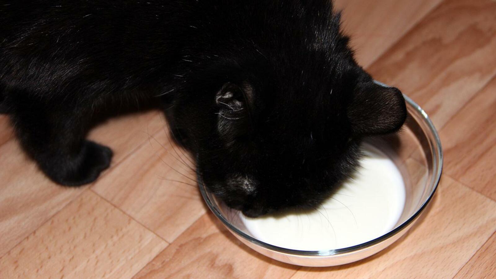 ИА «Башинформ»