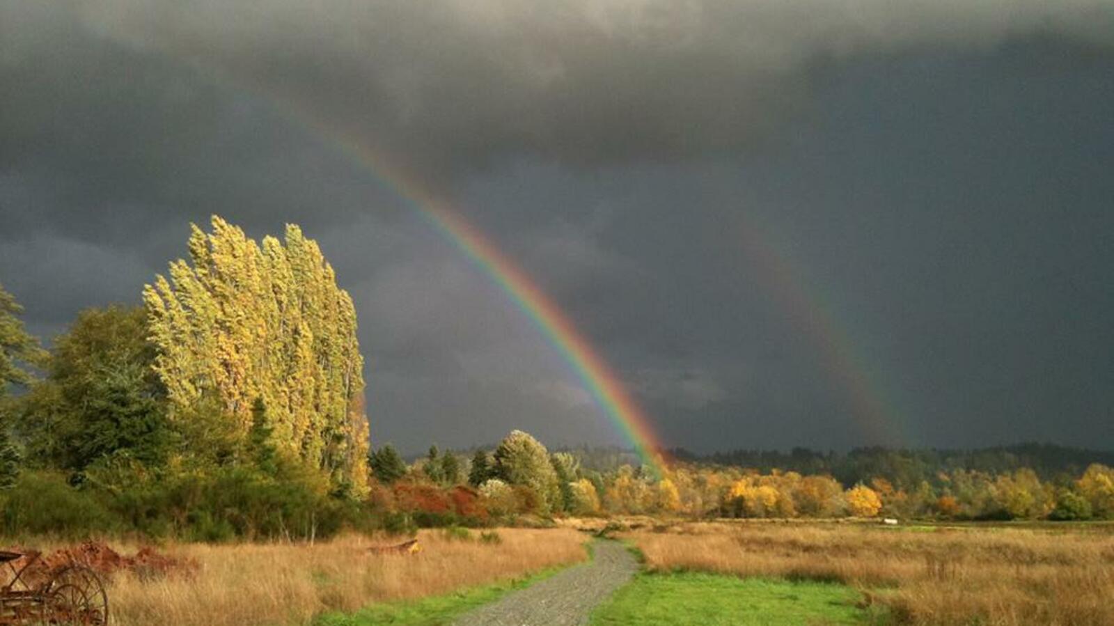 МЧС по Башкирии