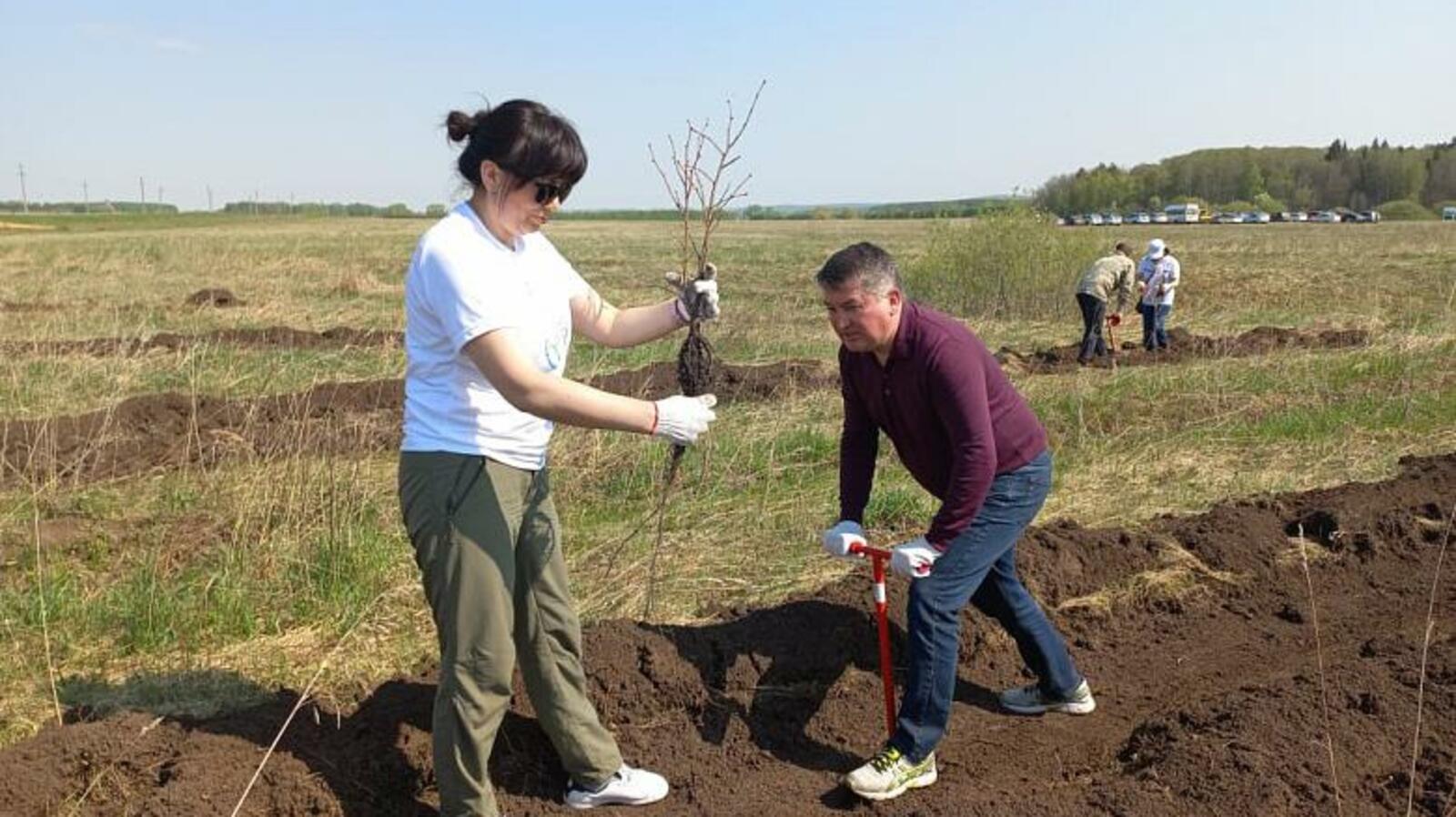 Правительство РБ