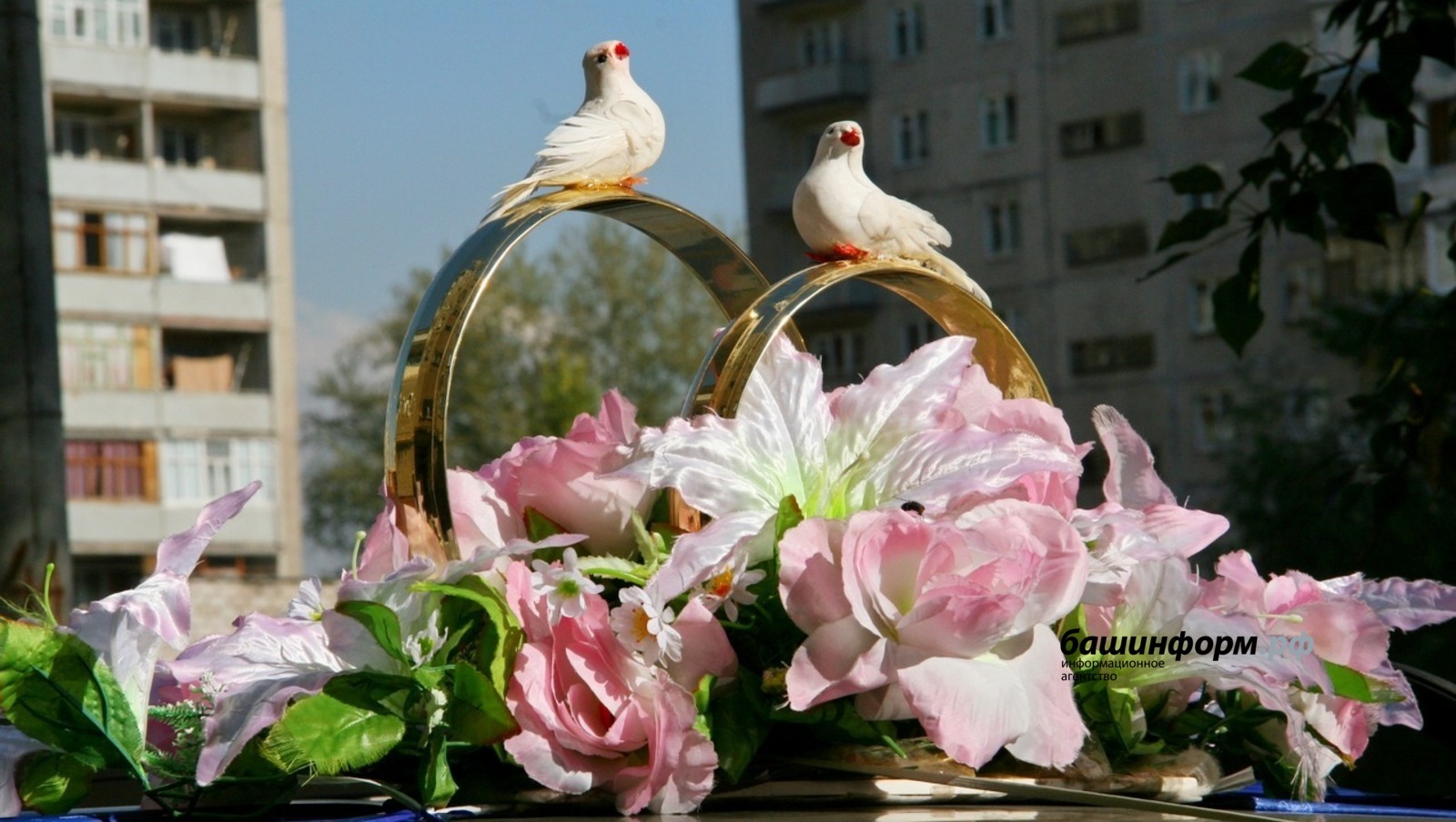 В День семьи, любви и верности в Башкирии  300 пар свяжут во едино свои судьбы