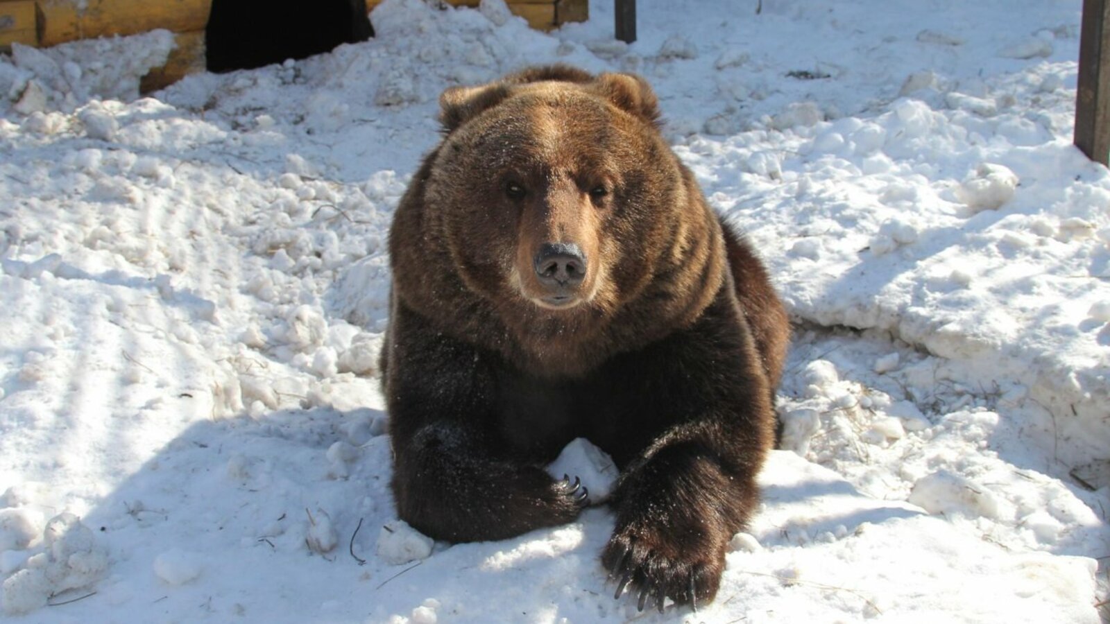 Олег Яровиков