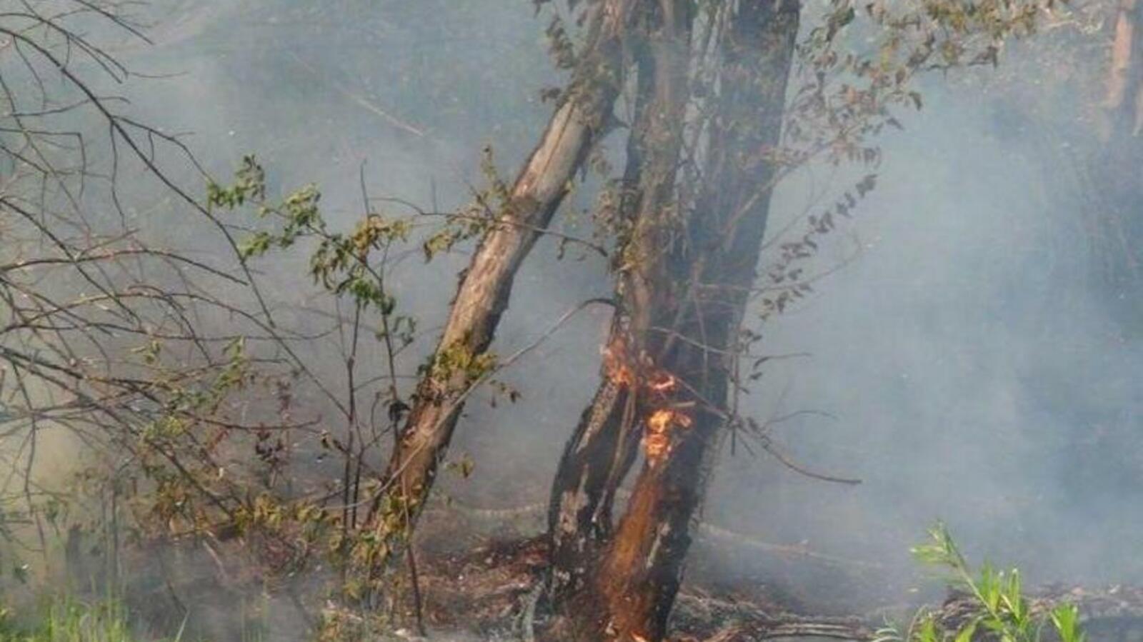 ИА «Башинформ»