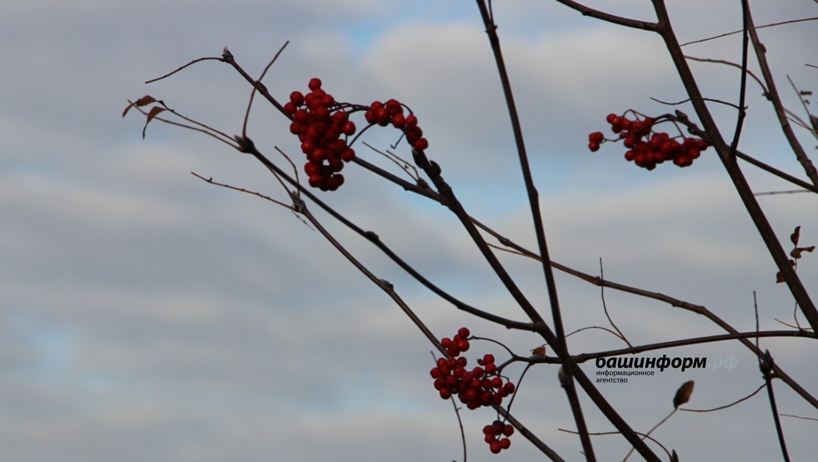 Ксения Калинина