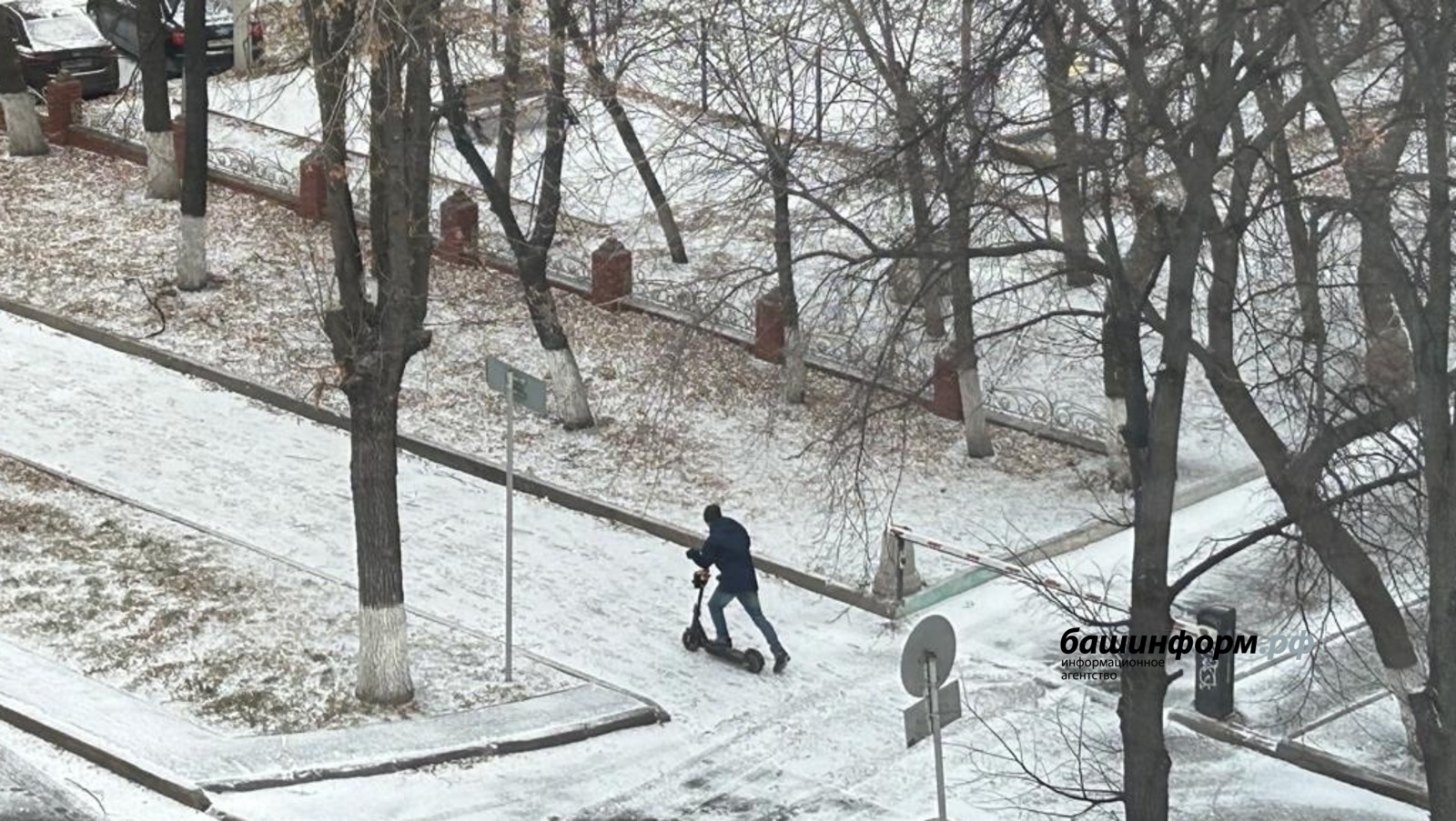 Ксения Калинина