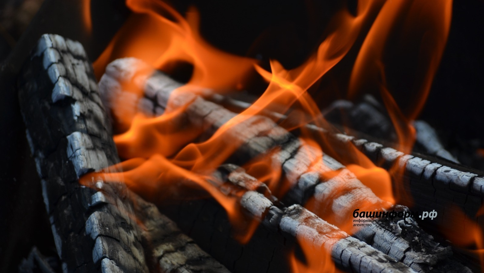 Ксения Калинина