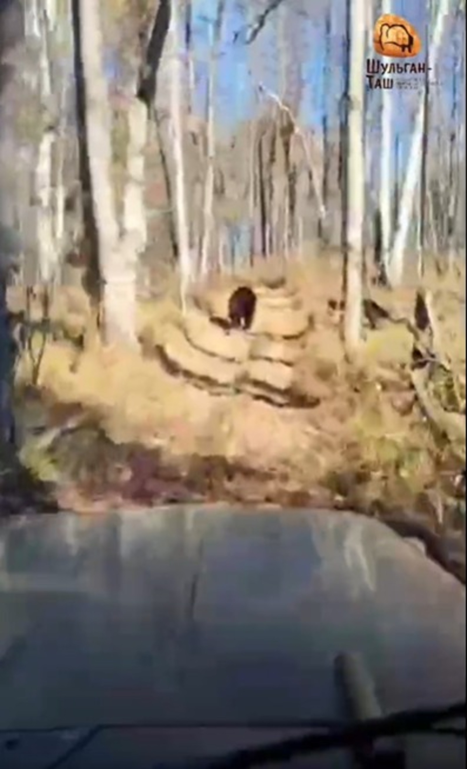 скриншот видео