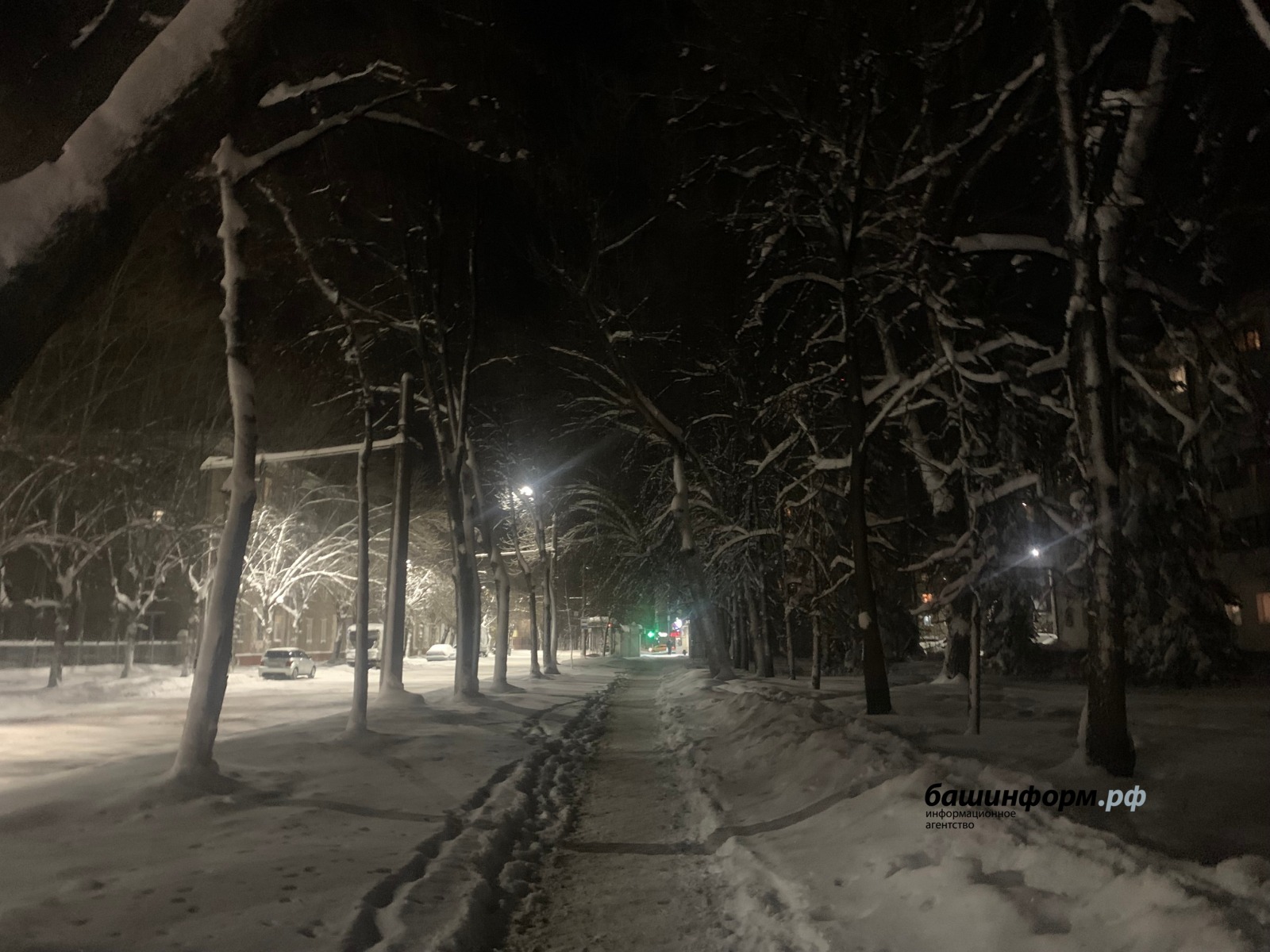 Галина Бахшиева