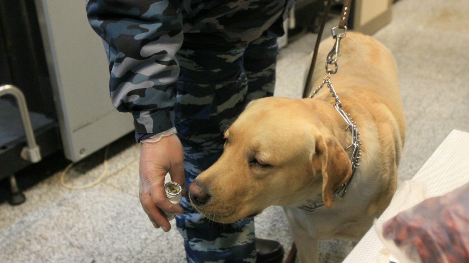 Андрей Старостин