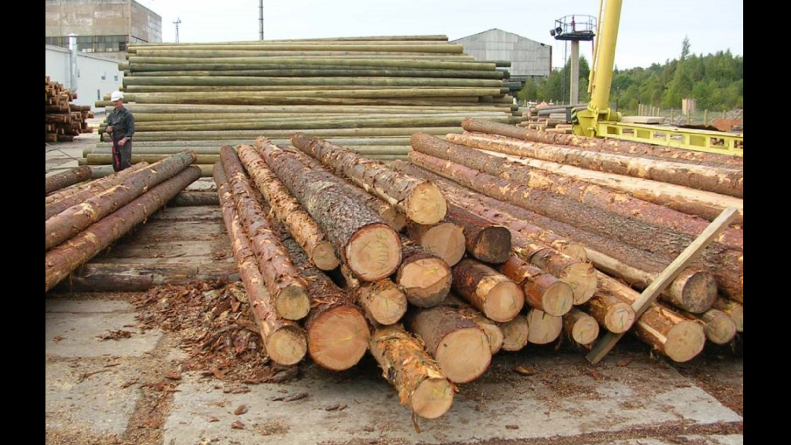 Минлесхоз РБ