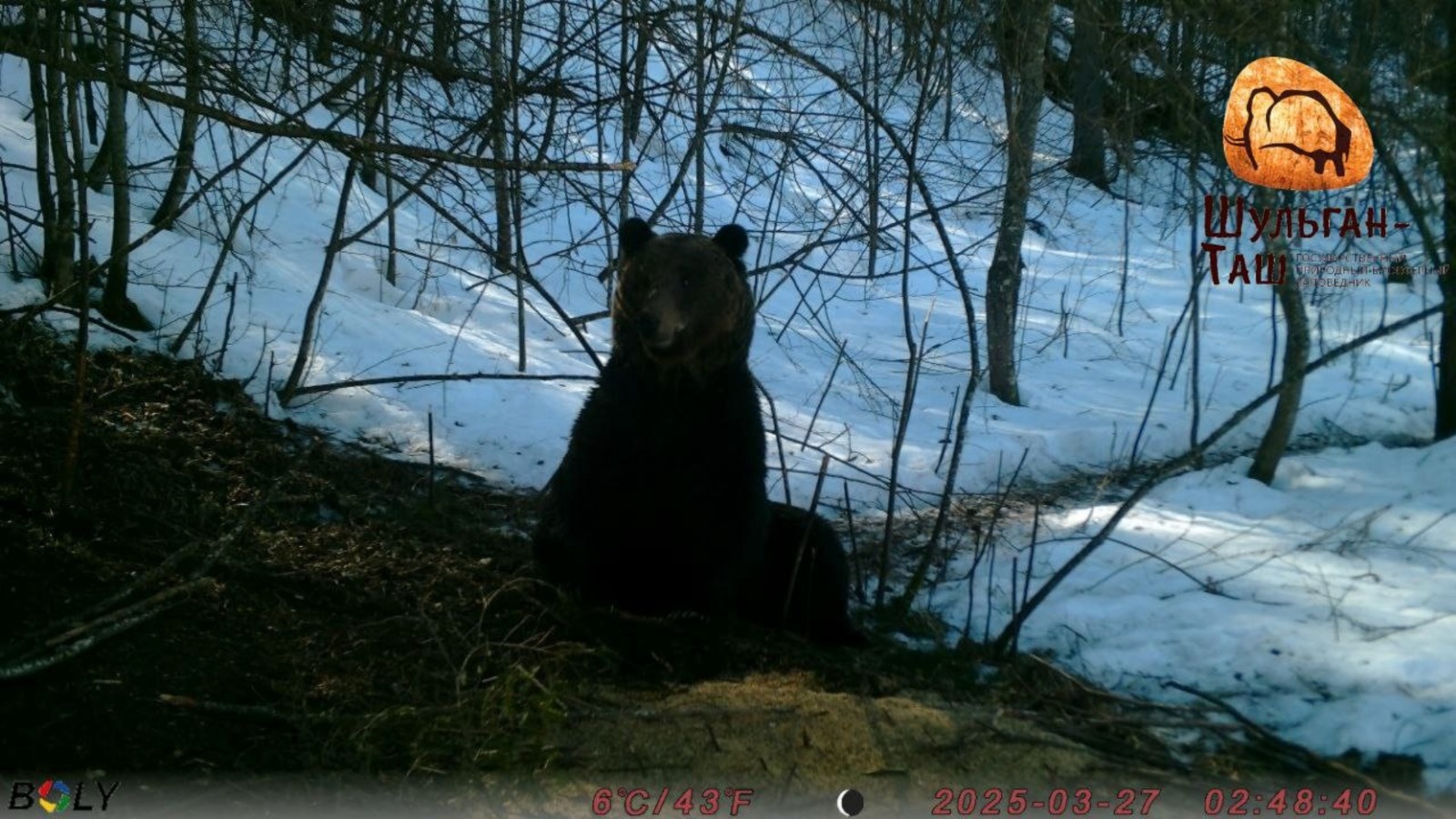 нацпарк «Башкирия» ТГ-канал