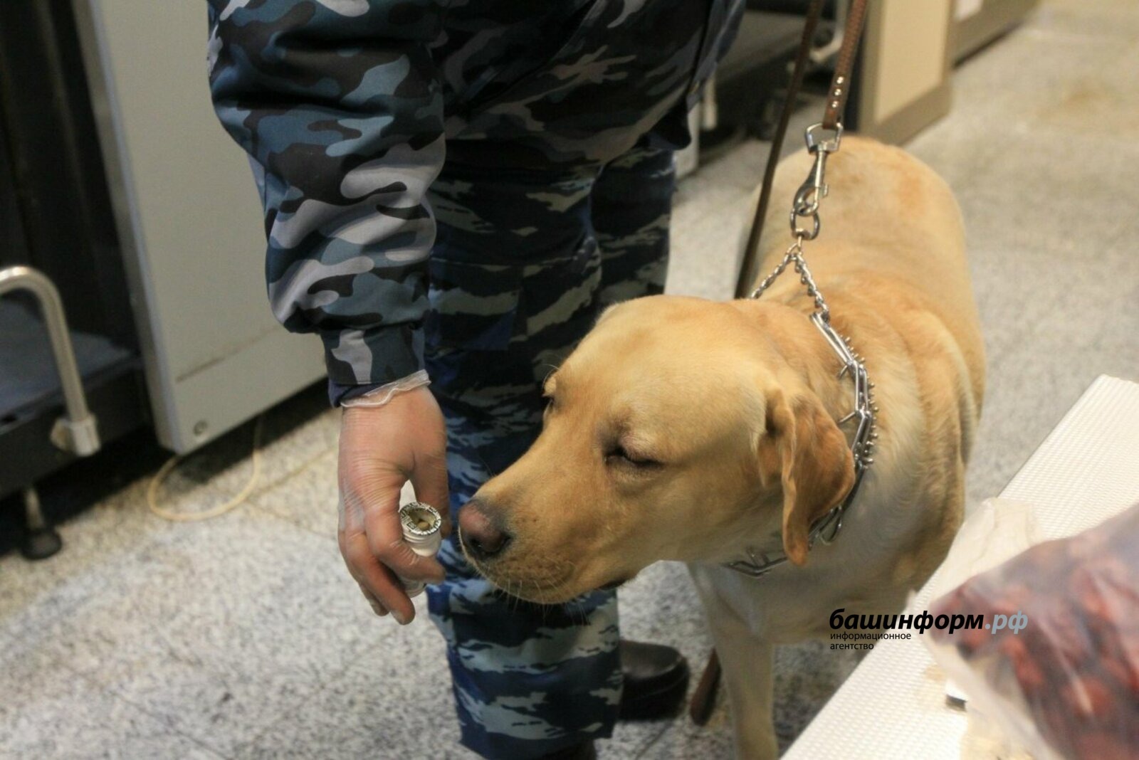 ИА «Башинформ»  архив