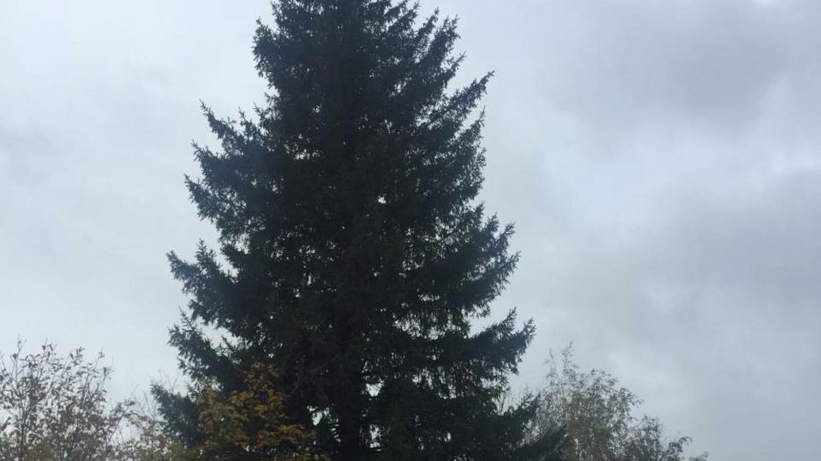 администрация г. Уфы