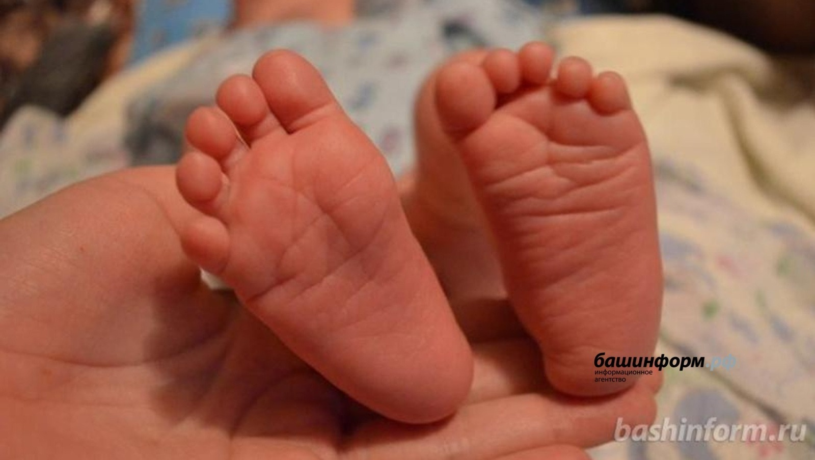 «Башинформ» мәғлүмәт агентлығы архивы