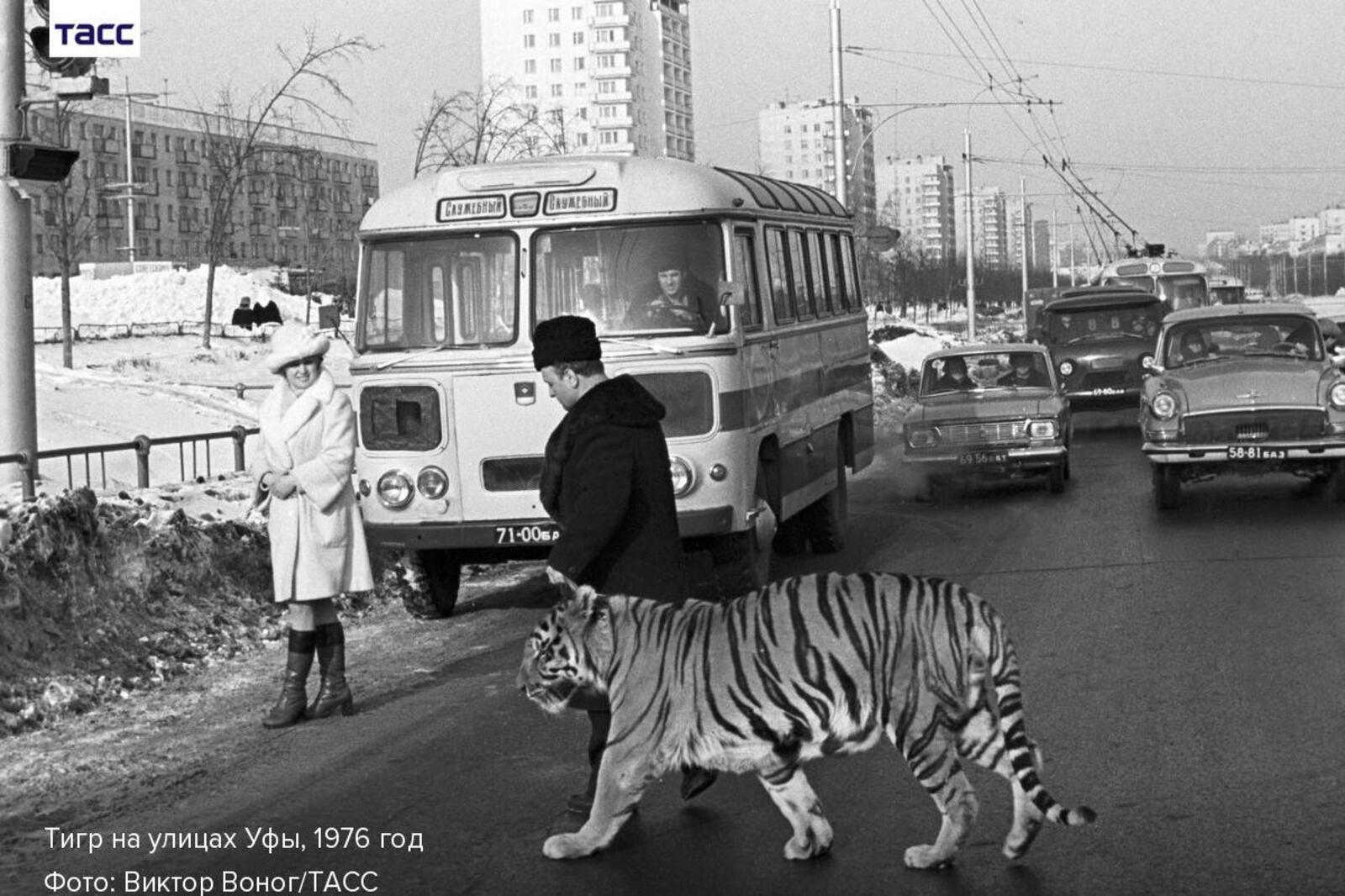 страница ТАСС в соцсети
