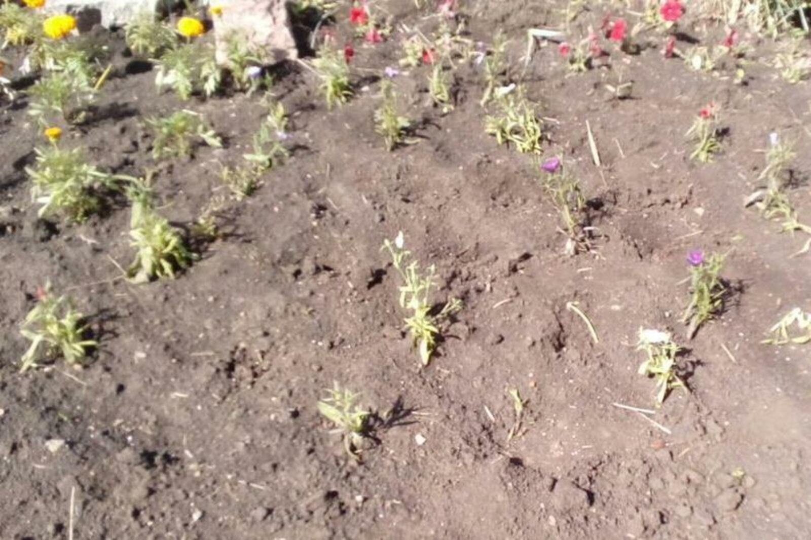 администрация Уфы