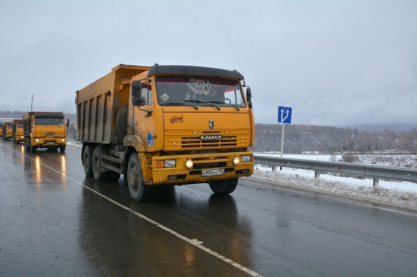 Ольга Колесникова