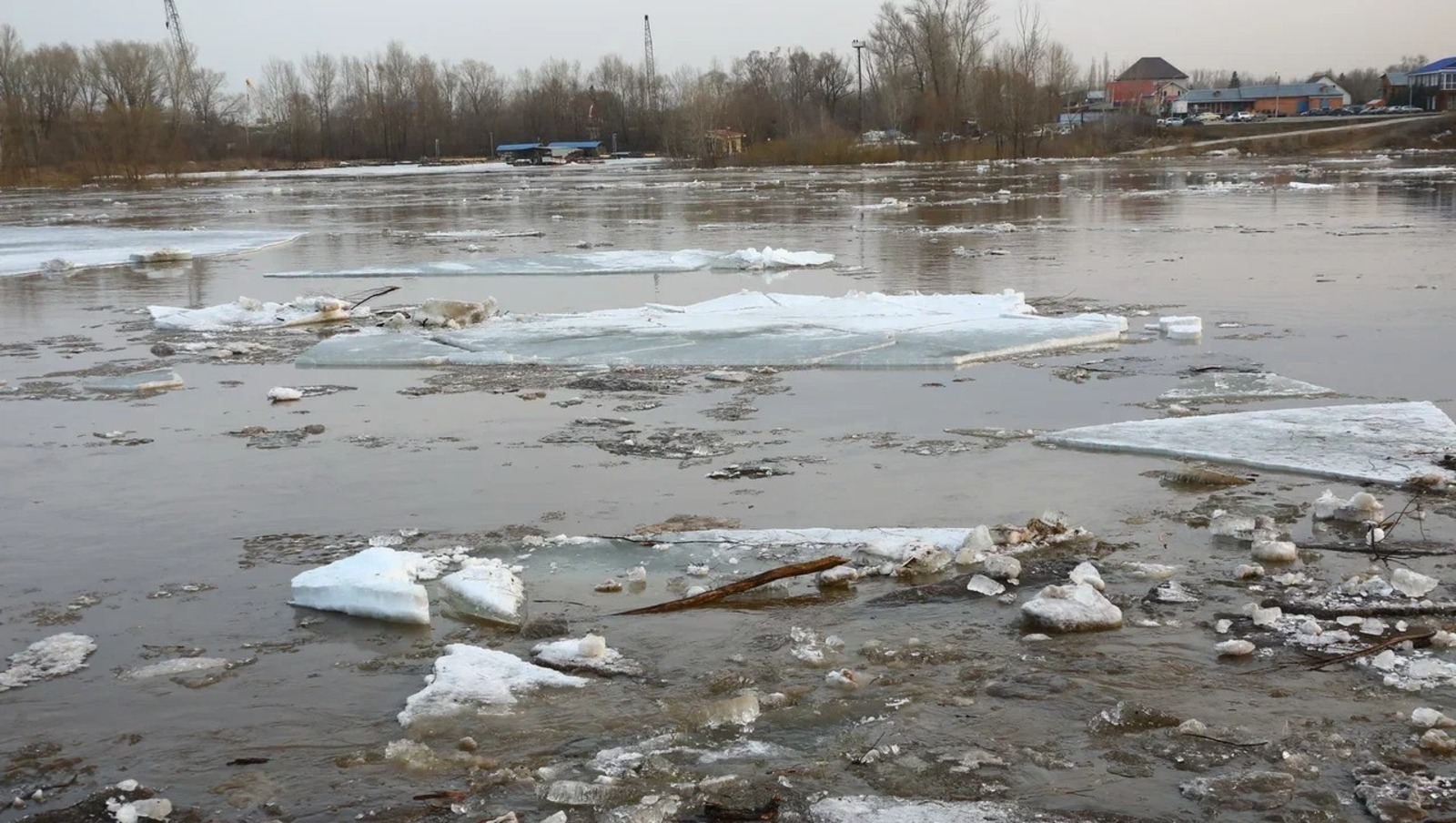 Валерий Шахов