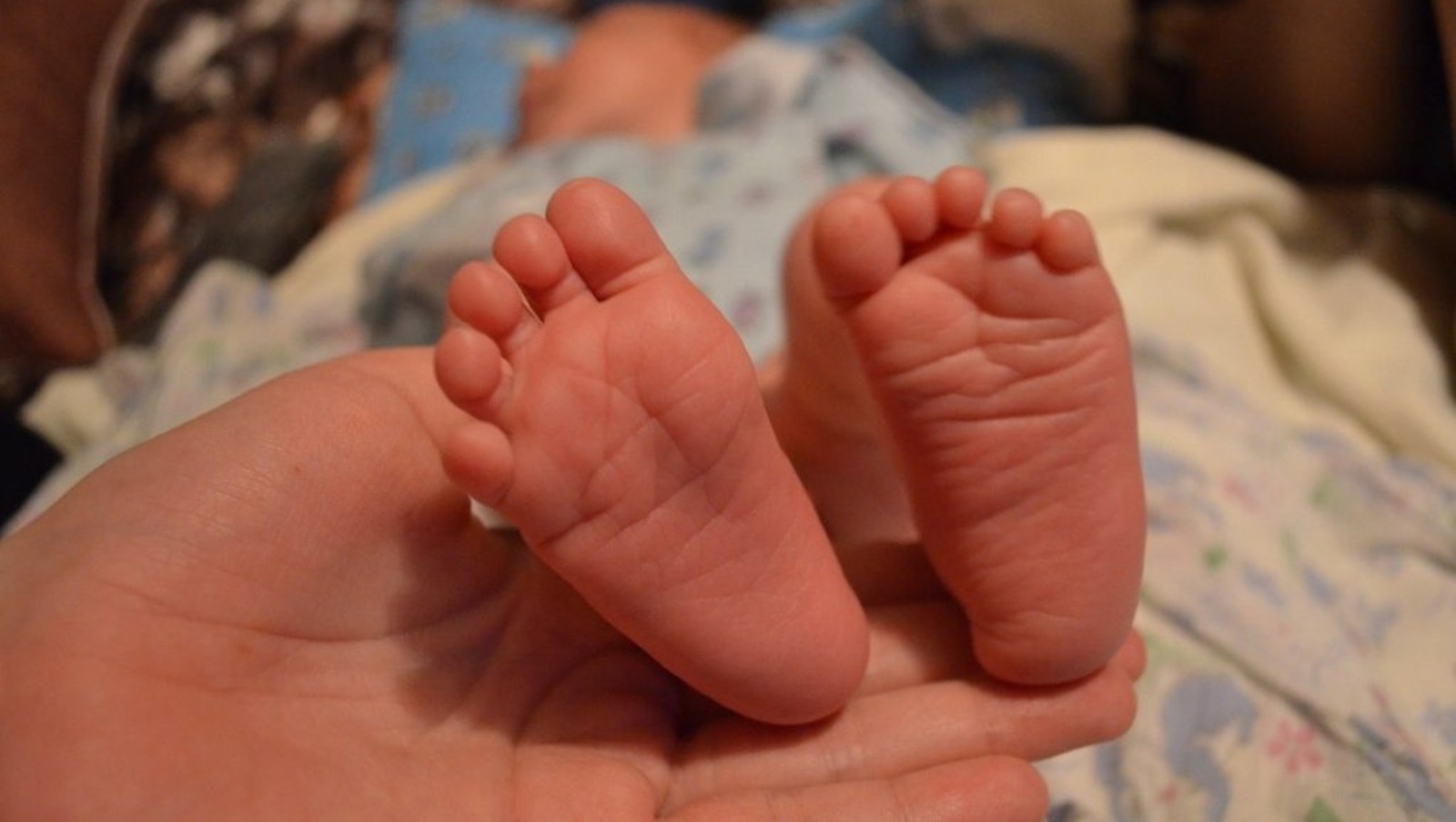 Ксения Калинина