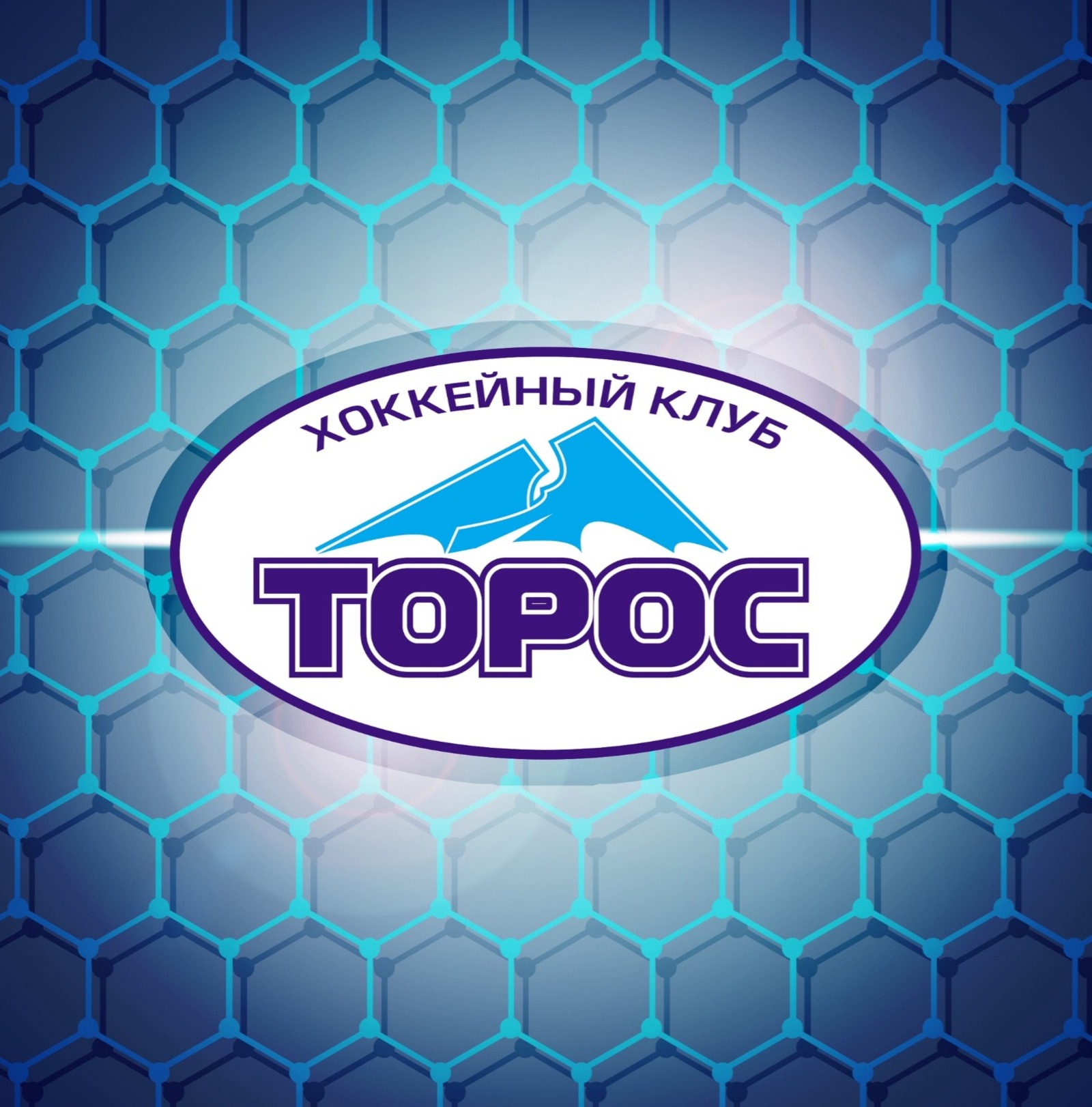 соцсети ХК «Торос»