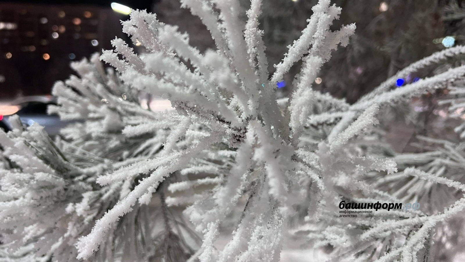 Ксения Калинина