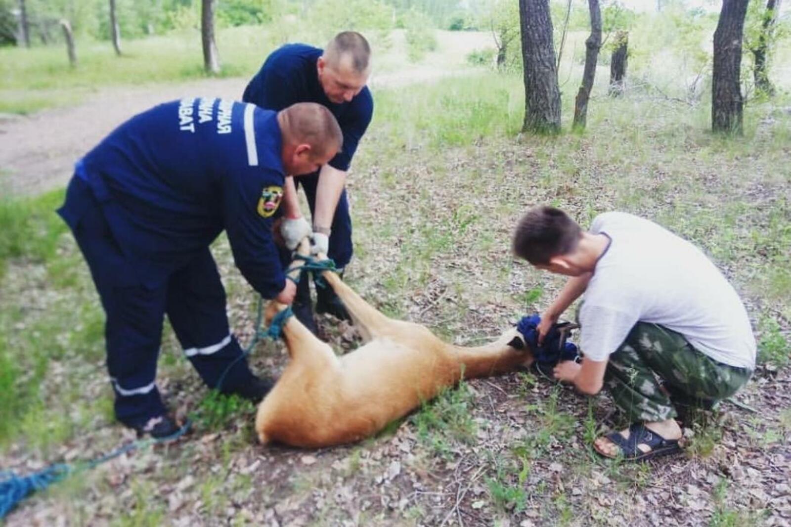 vibor.rbsmi.ru