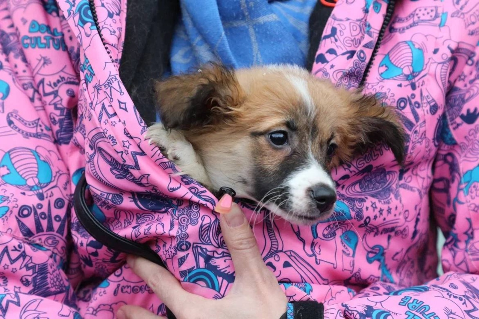 пресс-служба  администрация Уфы