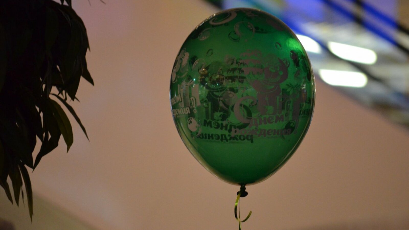 Ксения Калинина