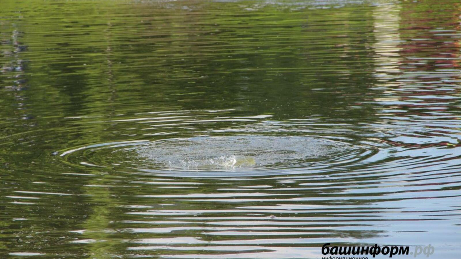 ИА «Башинформ»