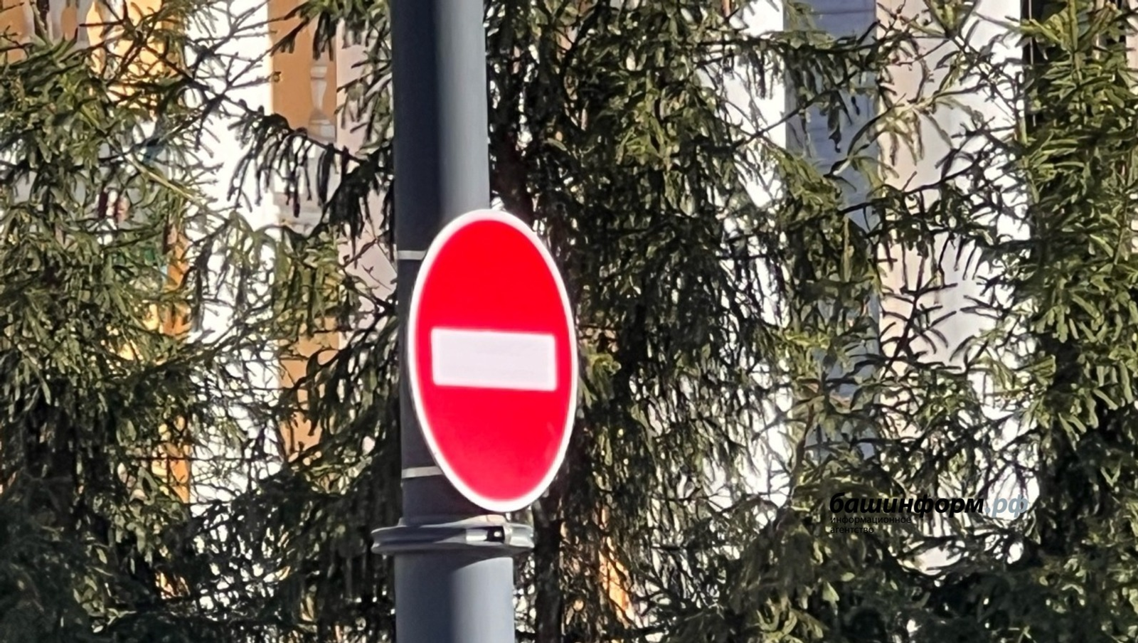 Ксения Калинина