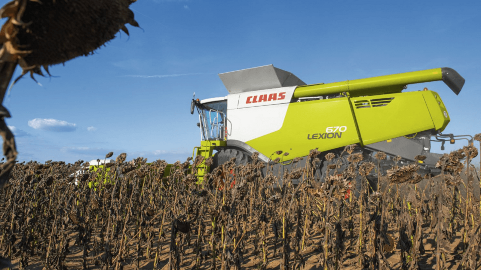 Минсельхоз РФ