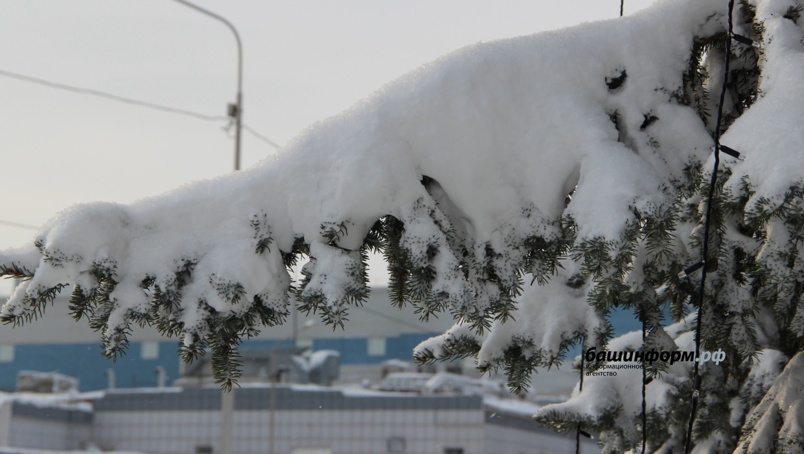 Ксения Калинина  ИА «Башинформ»