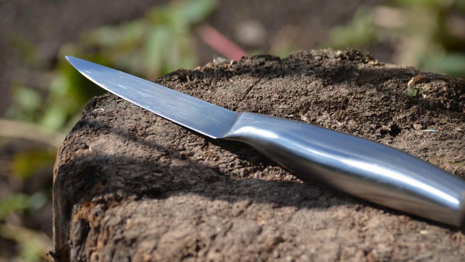 Ксения Калинина