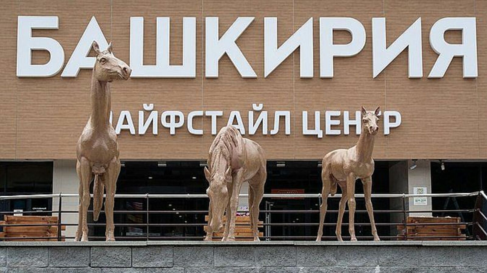 сайт «Комсомольская правда»