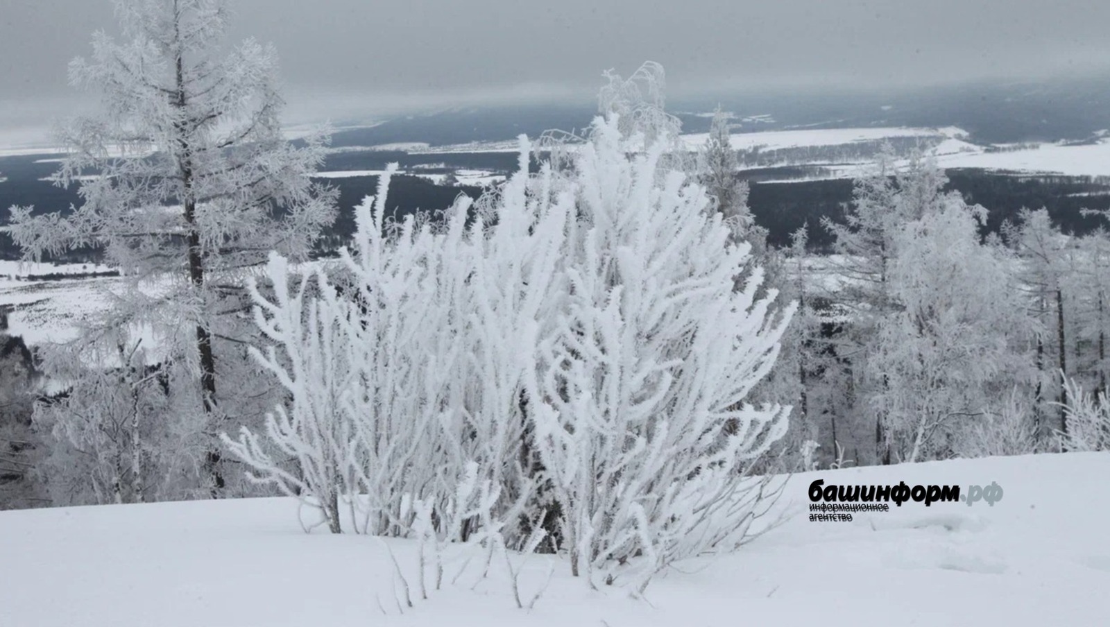 ИА «Башинформ» архив