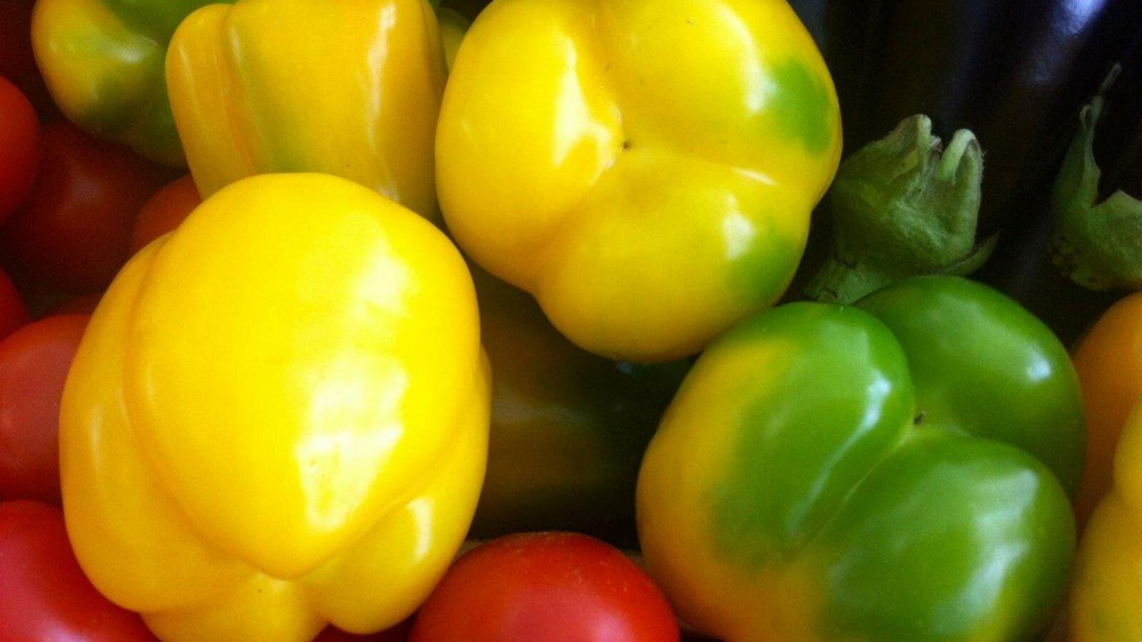 Галина Бахшиева