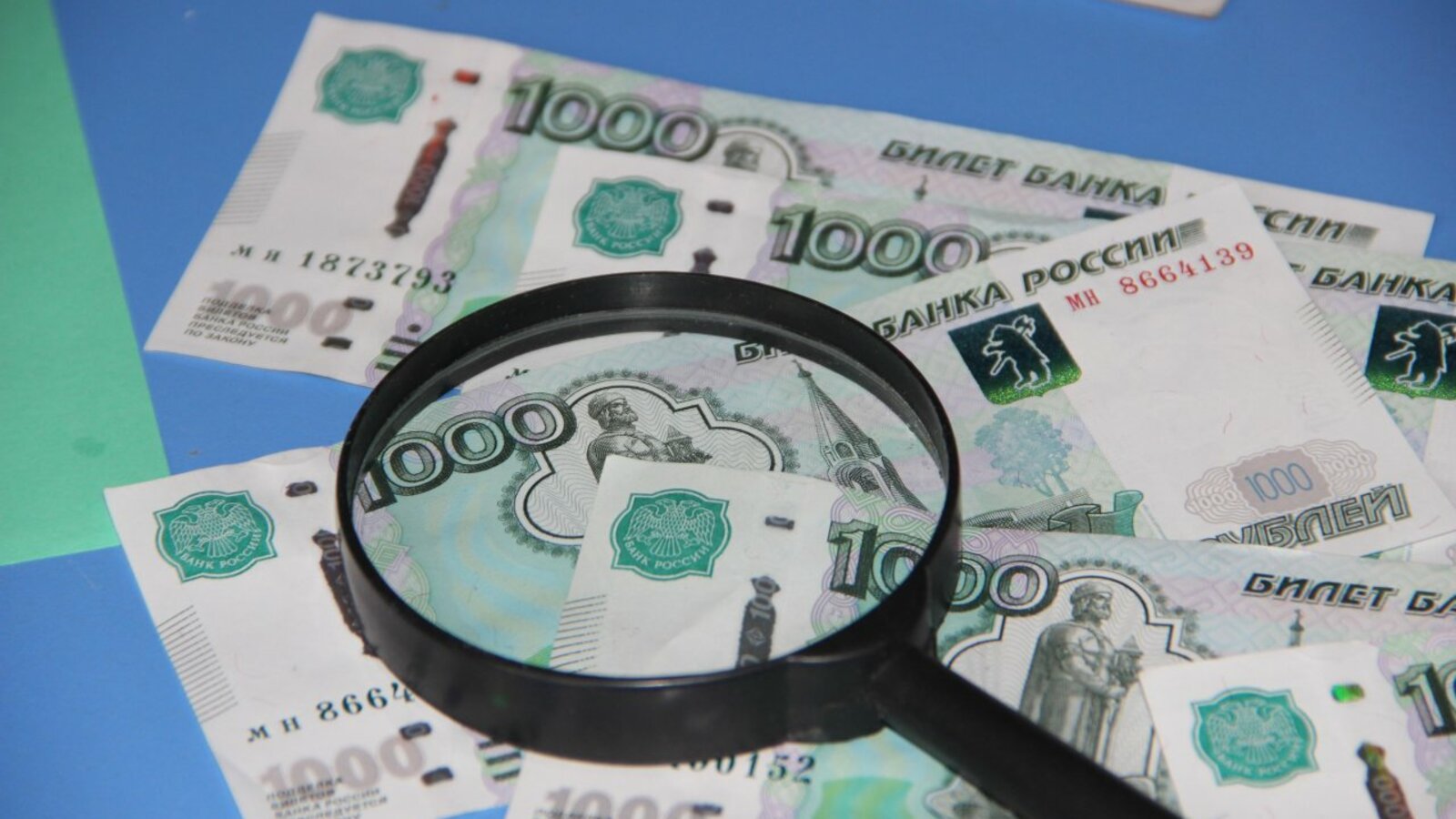 Карина Камаева