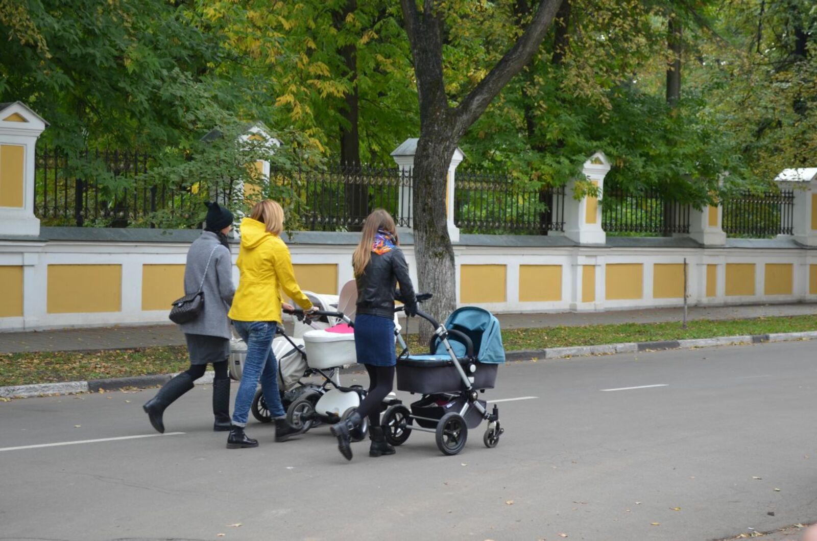 автора