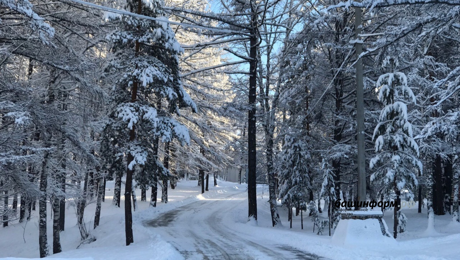 Ксения Калинина