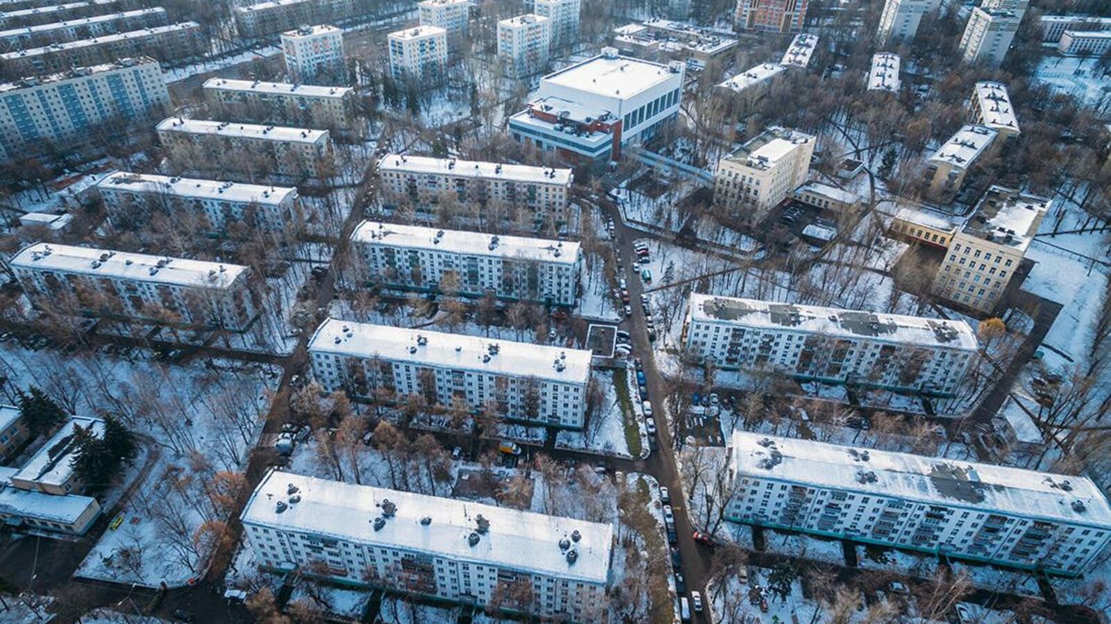 Наталья Гарнелис / ТАСС