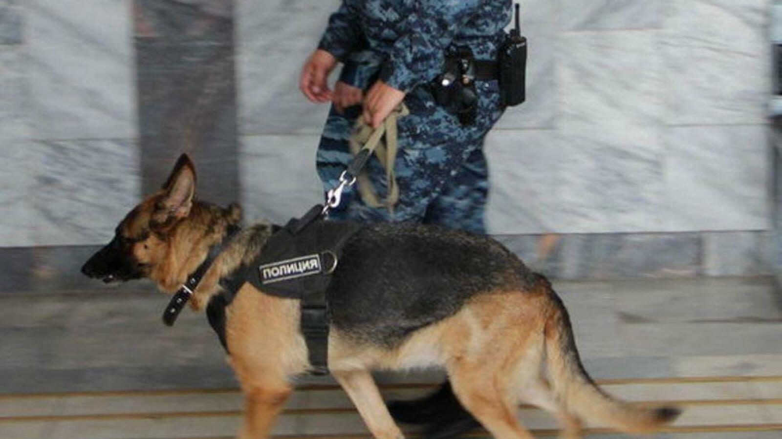 Ксения Калинина