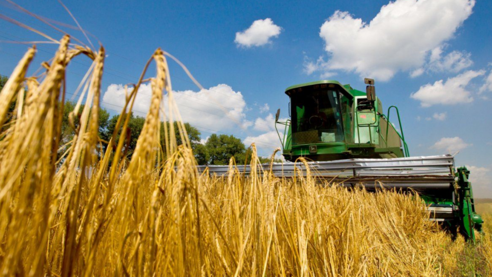 пресс-служба Минсельхоза РБ