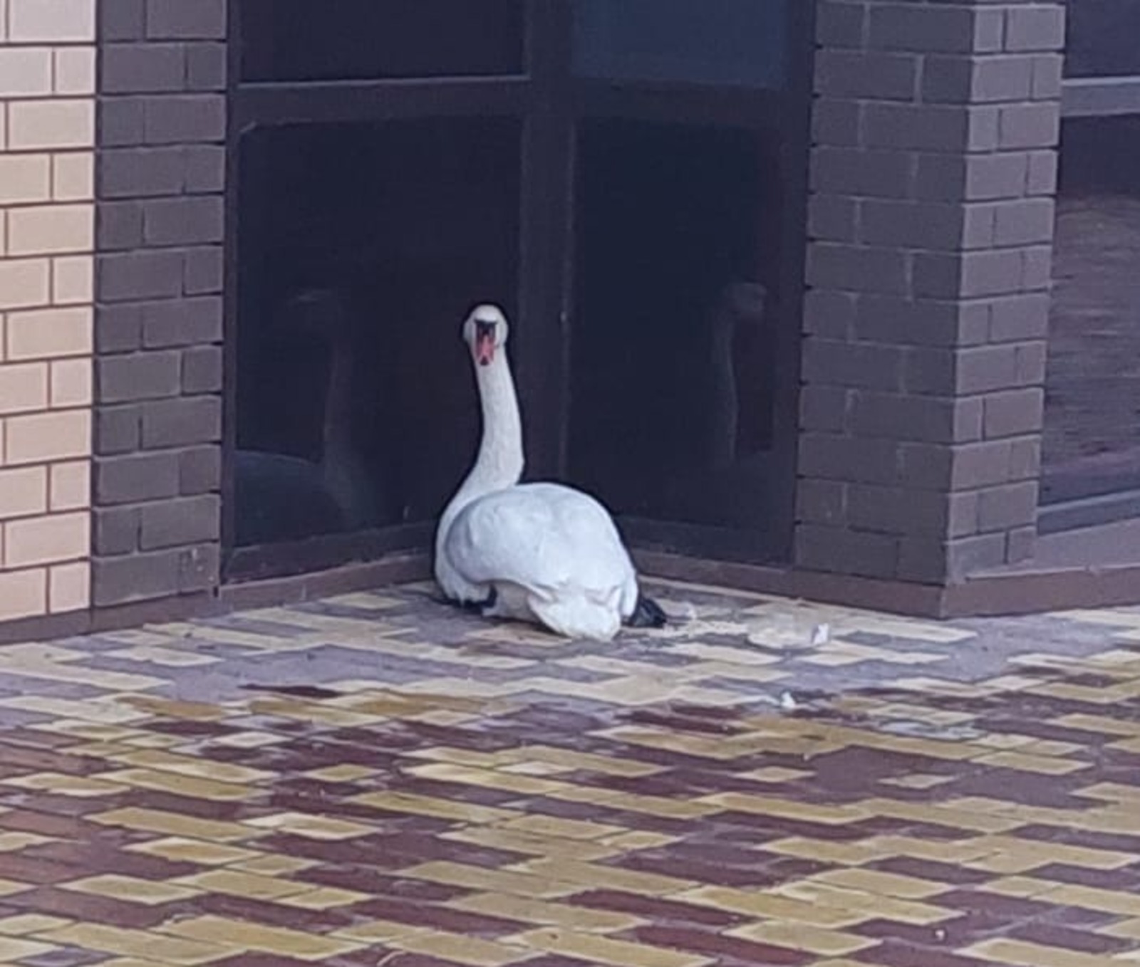 пресс-служба минэкологии РБ соцсети