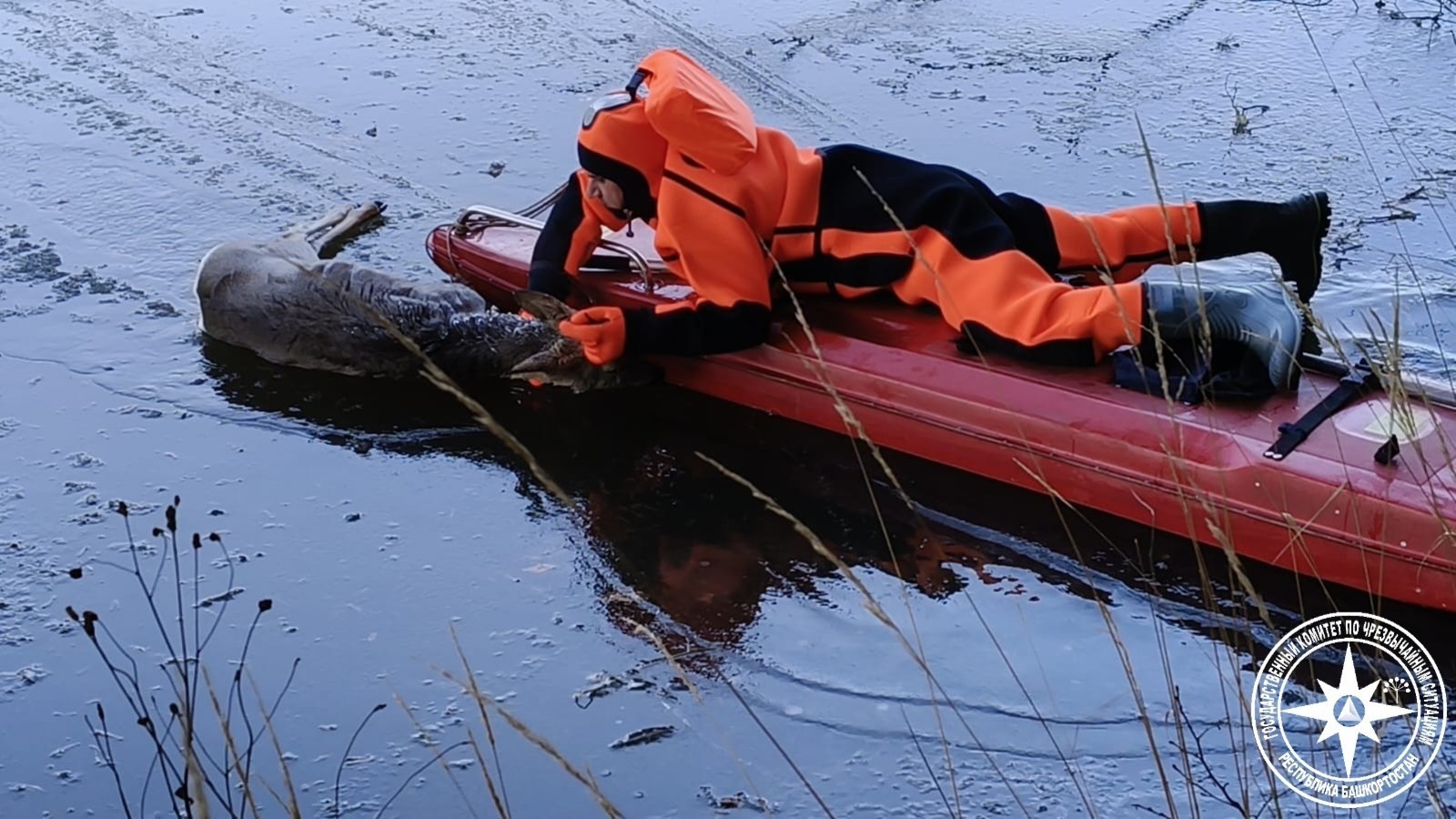 госкомитет РБ по ЧС телеграм-канал