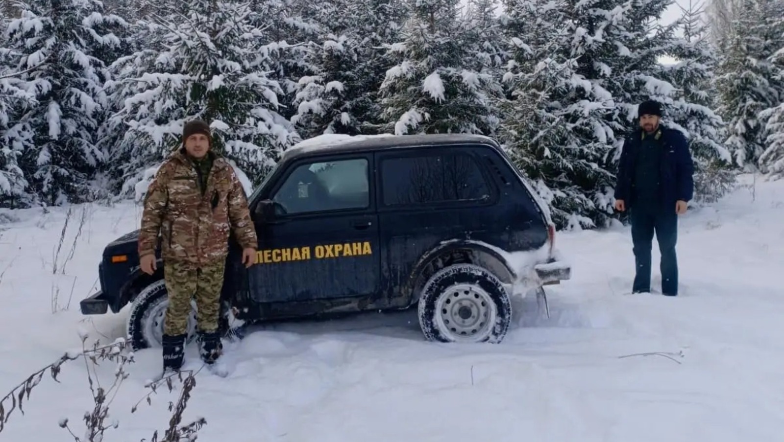 минлесхоз РБ пресс-служба