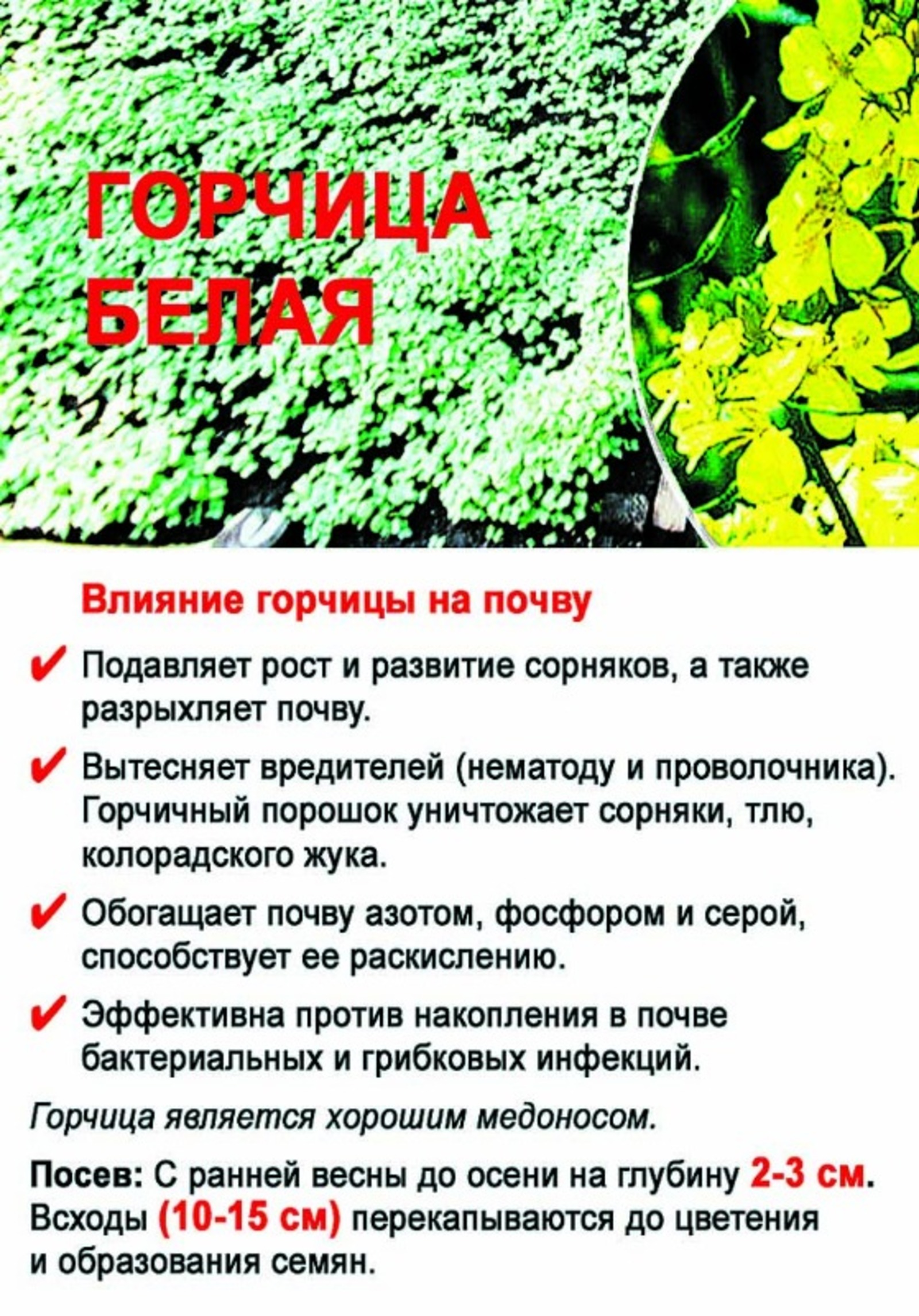 инфографика Эльвиры БАЛТАЧЕВОЙ