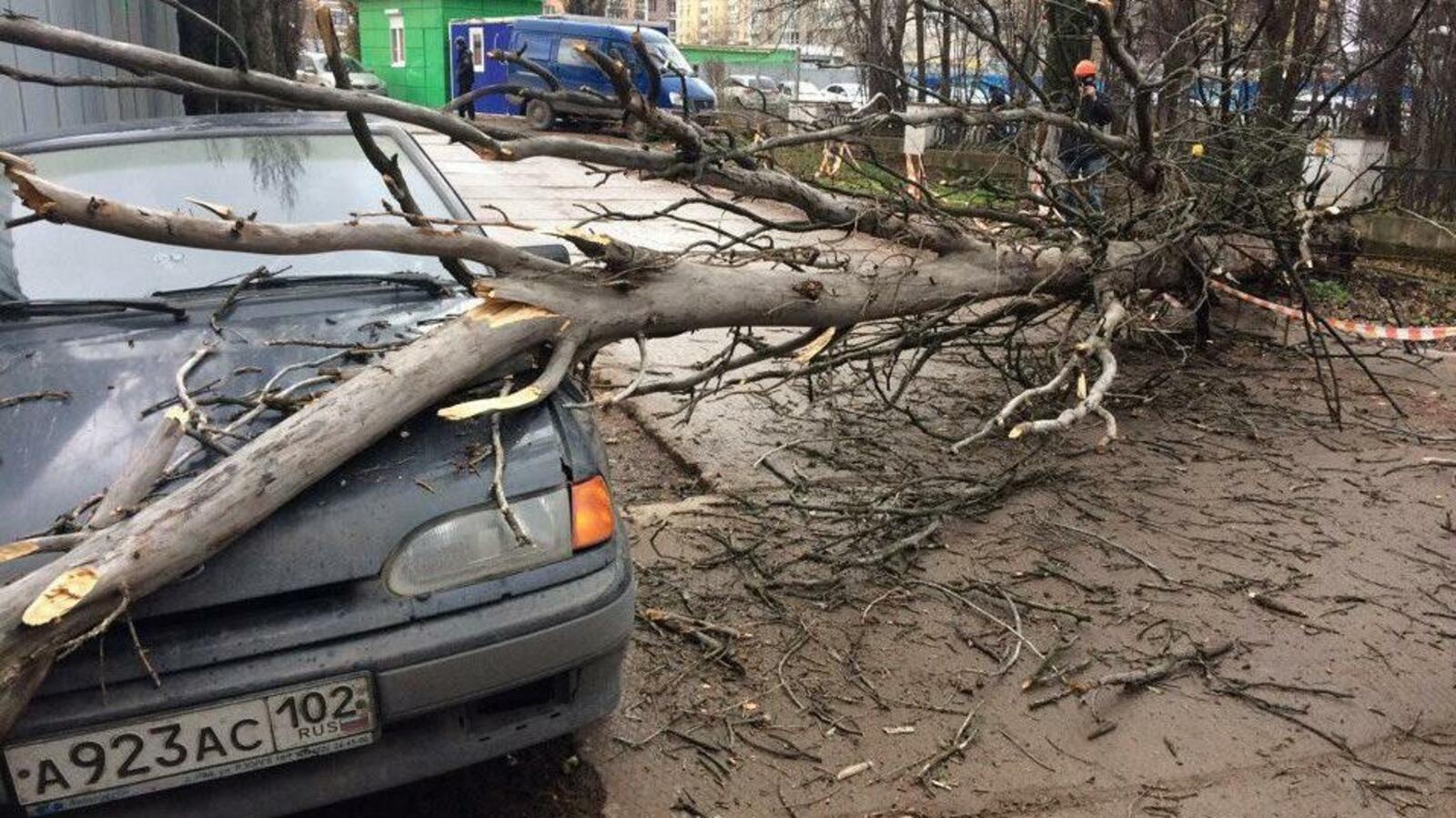 ИА «Башинформ»