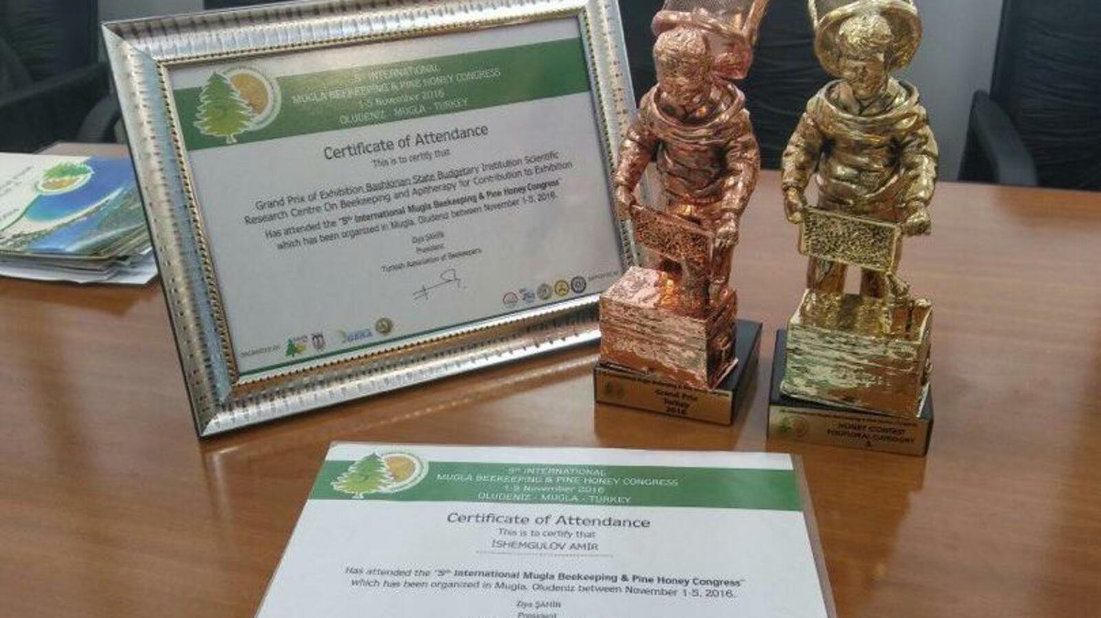 АНО «Офис-группа»