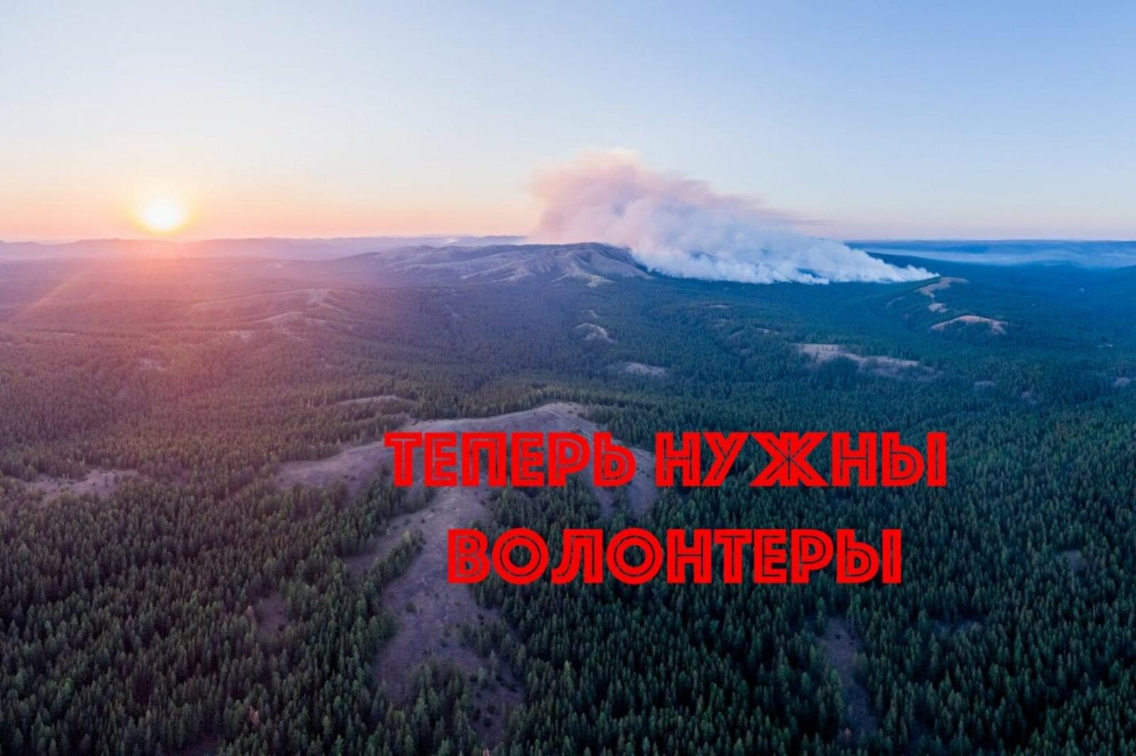 Олег Чегодаев