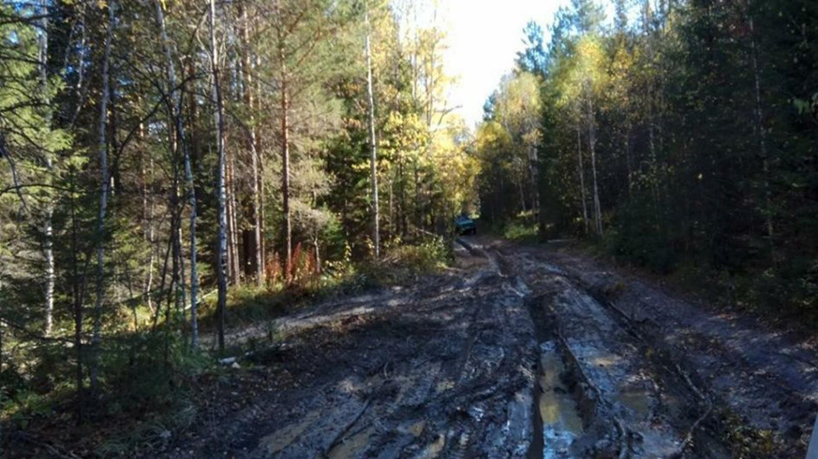 Рушана Ибраева