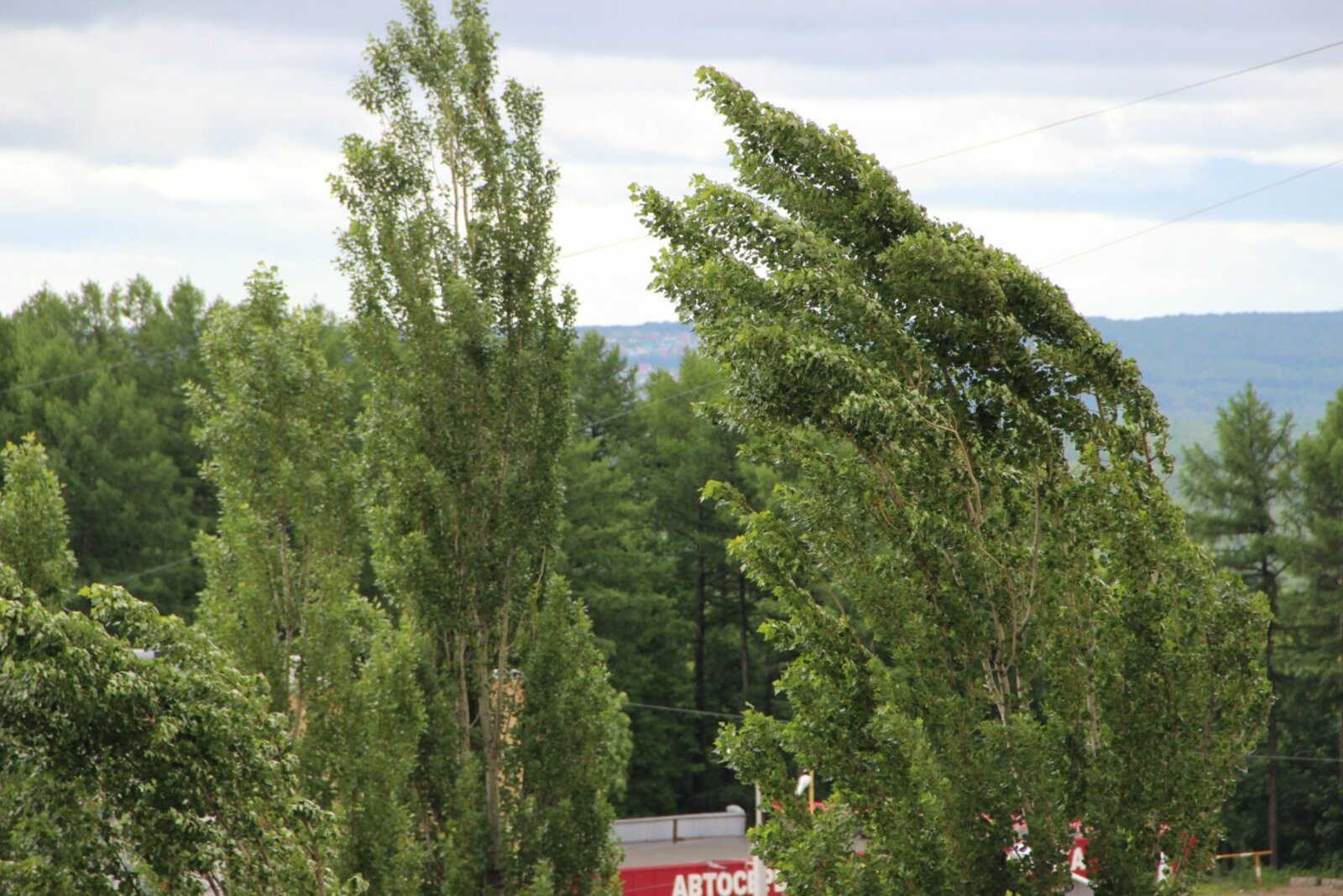 автор